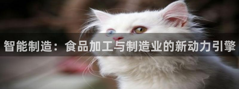 谈球吧属于哪个旗下