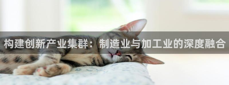 谈球吧