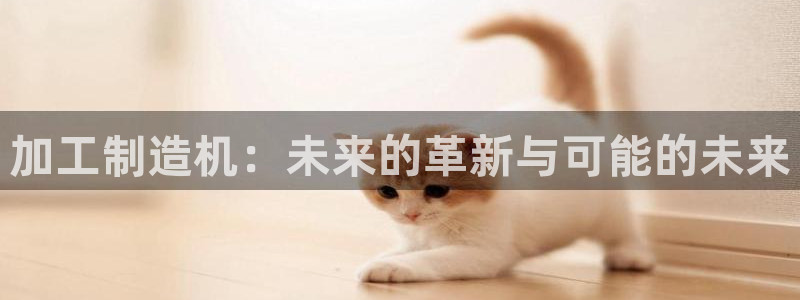 谈球吧网app官网下载