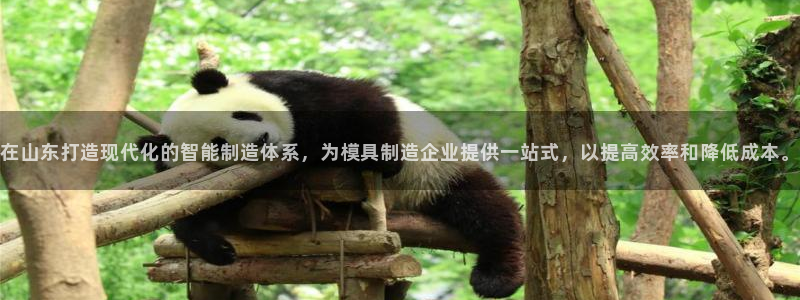 谈球吧网址