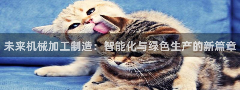 谈球吧体育app下载足球比赛视频
