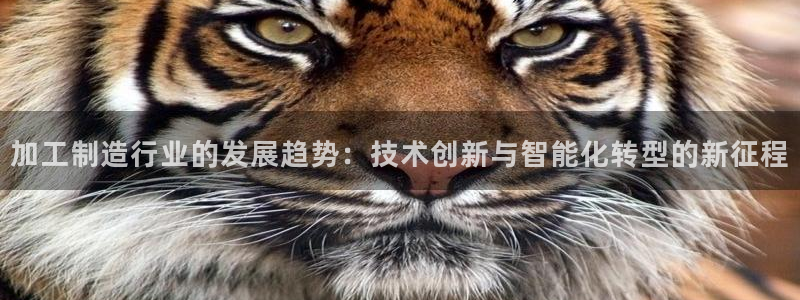 谈球吧官网在线入口手机版免费