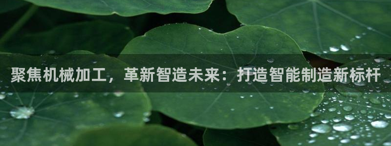 谈球吧app下载安装