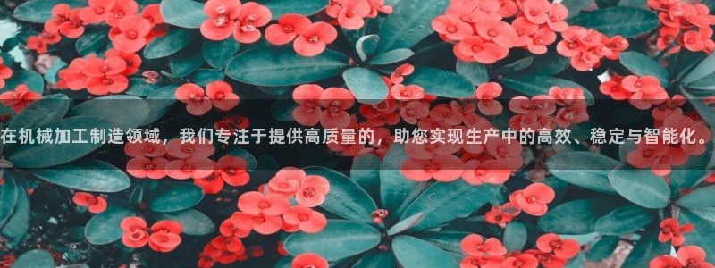 谈球吧买球是正规的吗