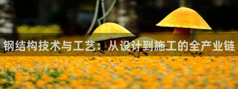 谈球吧属于哪个