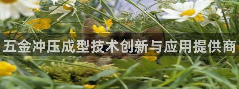 谈球吧体育赛事入口