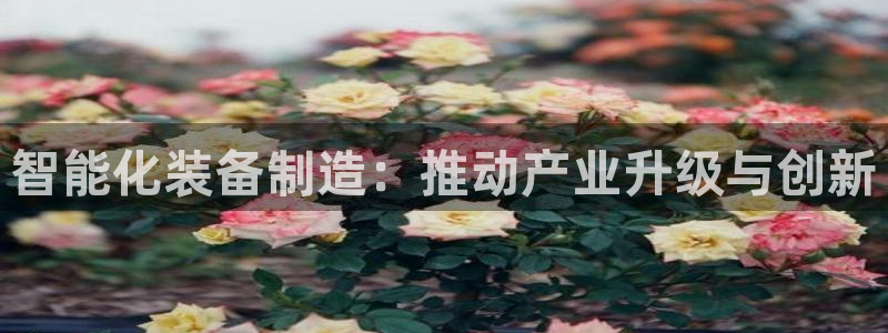 谈球吧在线登录免费观看