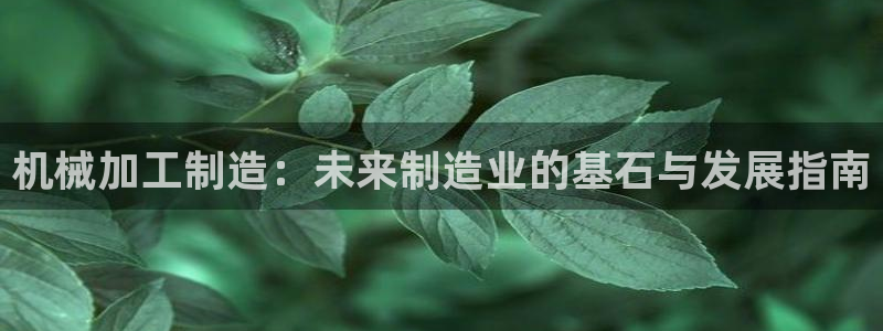 谈球吧言网入口