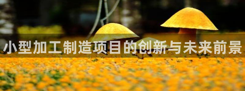 谈球吧体育app下载中心官网苹果