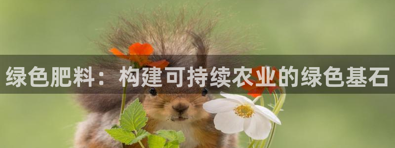 谈球吧体育官网在线入口