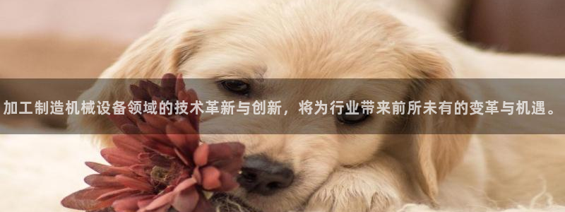 谈球吧下载地址