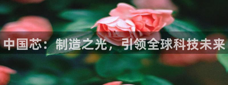 谈球吧体育app下载中心在哪