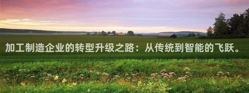 谈球吧电子app