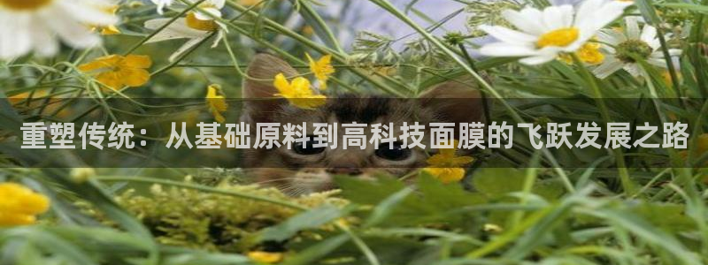 谈球吧在线登录免费观看