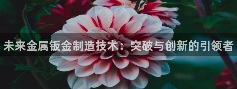 谈球吧网站