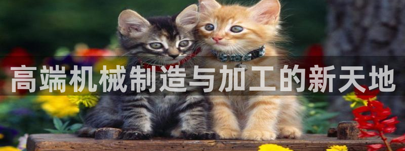 谈球吧APP