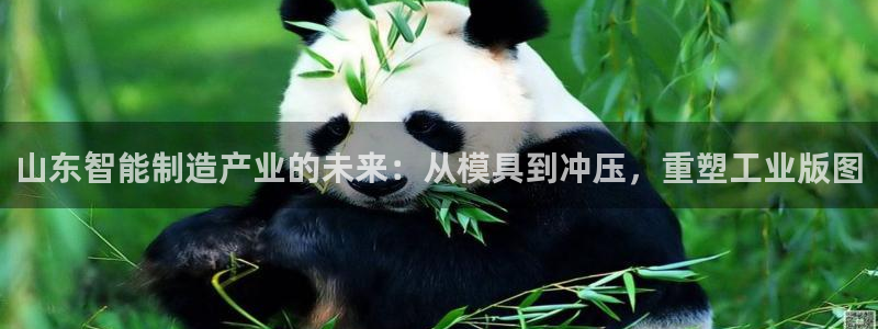 谈球吧体育赛事