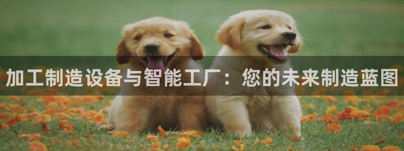 谈球吧不出款