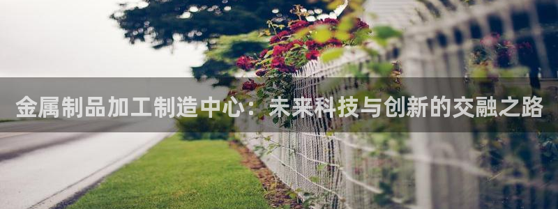 谈球吧官网在线入口免费观看高清