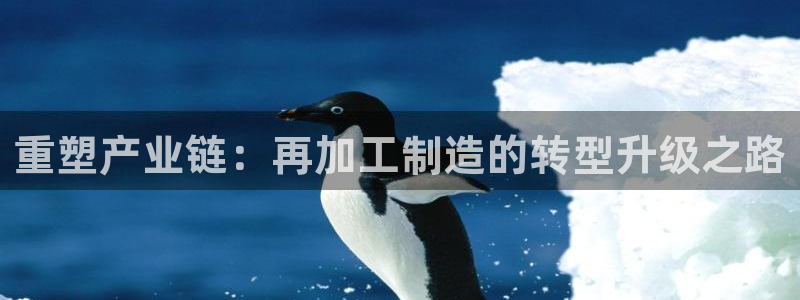 谈球吧咋样黑钱