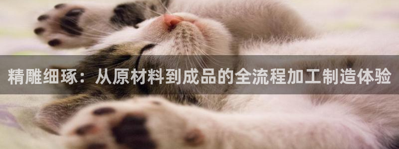 谈球吧官网在线入口手机版免费观看