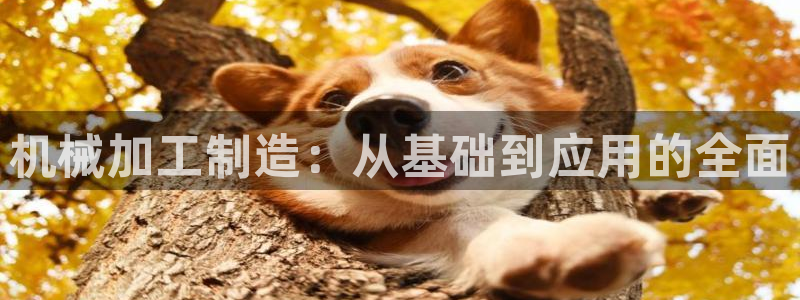 谈球吧能提现不