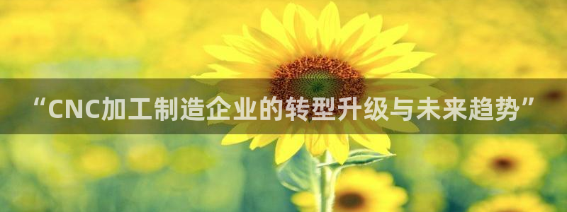 谈球吧平台app下载网址是多少