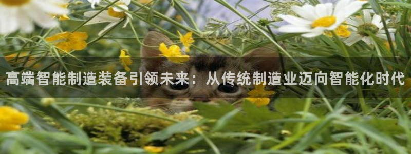 谈球吧官网在线入口手机版免费
